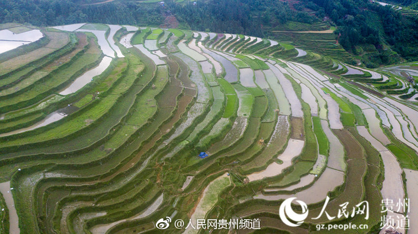 光环无限威胁传感器怎么装备