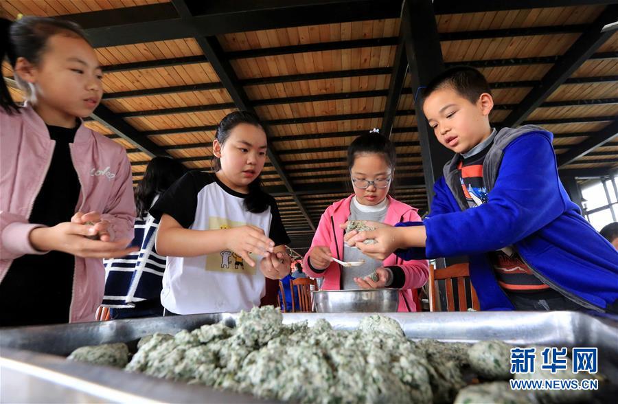 阴暗森林猪村的密码怎么获取 