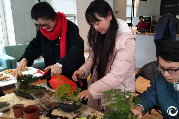 尼尔伪装者海岸镇有什么商店商品
