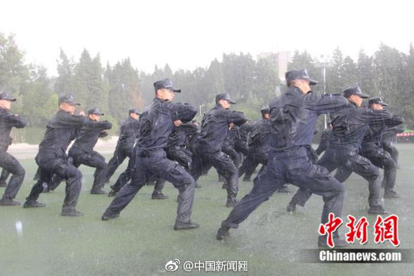 怪物猎人崛起曙光业铠修罗技能有什么效果